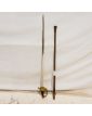 Officer's Saber with Case