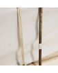 Officer's Saber with Case