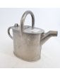 Small stainless steel watering can