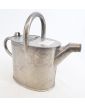 Small stainless steel watering can