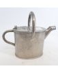 Small stainless steel watering can