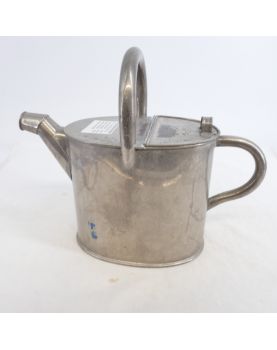 Small stainless steel watering can