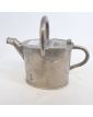 Small stainless steel watering can