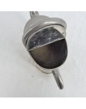 Small stainless steel watering can
