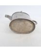 Small stainless steel watering can