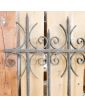 Pair of Grid in Iron Forged