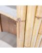 Bar in Bamboo with stool