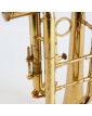 Trompette AMATI avec Embout dans son Étui