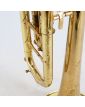 Trompette AMATI avec Embout dans son Étui
