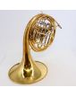 ARLOD French Horn with Mouthpiece in its Case