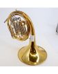 ARLOD French Horn with Mouthpiece in its Case