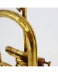 Bugle Robert Martin sans Embout