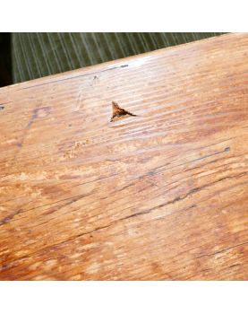 Table de Ferme en Sapin