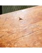 Table de Ferme en Sapin