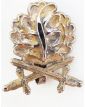 German Oak Leaf Badge