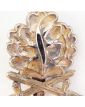 German Oak Leaf Badge