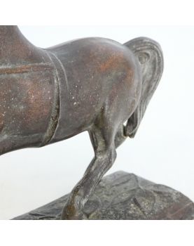 Subject Horse in Regular