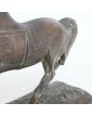 Subject Horse in Regular