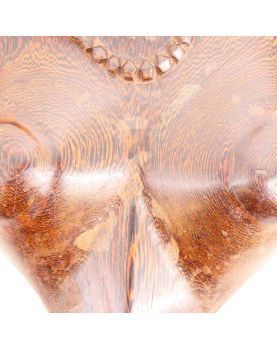 Pair of African Profiles in Carved Wood