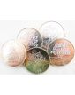 5 Pieces 100 Francs en Argent