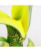 Art Glassware Large Green and Yellow Pitcher in Pate de Verre