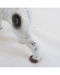 Chien en Porcelaine