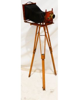 Old Photo Room on THORNTON-PICKARD Tripod