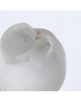 Paire de 2 Oiseaux LALIQUE France