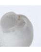 Paire de 2 Oiseaux LALIQUE France