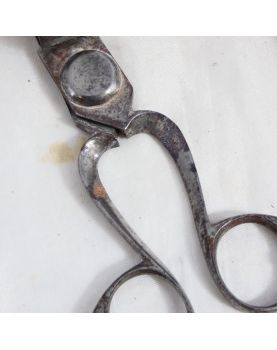 Pair of Mouchette