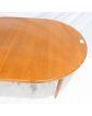 GPLAN Table Ovale 1 Allonge Portefeuille
