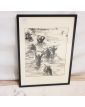 Regrouping of Paras in Diluted Ink Signed Lh. LEMIRRE