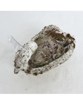 Antique Cement Swan Planter