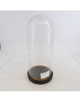 Empty Bridal Globe