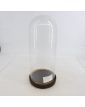 Empty Bridal Globe