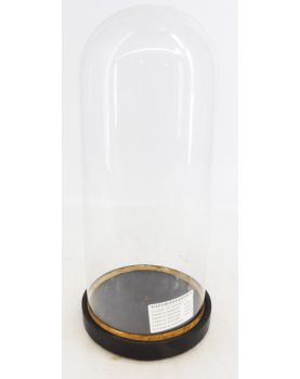 Globe de Mariée Vide
