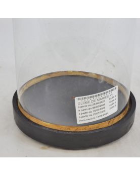 Globe de Mariée Vide