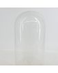 Empty Bridal Globe