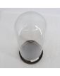 Empty Bridal Globe