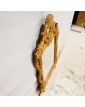 Golden Mirror Shell Model