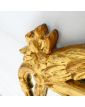 Golden Mirror Shell Model