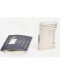 Briquet DUPONT Woman in Silver metal