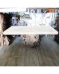 Table Basse Tronc