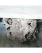 Table Basse Tronc