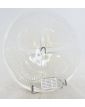 Opalescent Scallop Shell Cup by René LALIQUE France