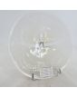 Opalescent Scallop Shell Cup by René LALIQUE France