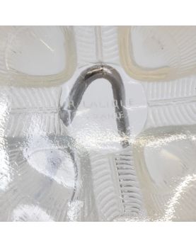 Coupe Opalescente Coquille Saint Jacques par René LALIQUE France