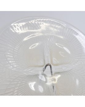 Opalescent Scallop Shell Cup by René LALIQUE France