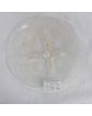 Opalescent Scallop Shell Cup by René LALIQUE France