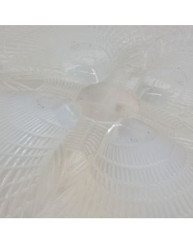 Opalescent Scallop Shell Cup by René LALIQUE France
